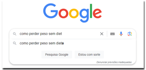 pesquisagoogle2